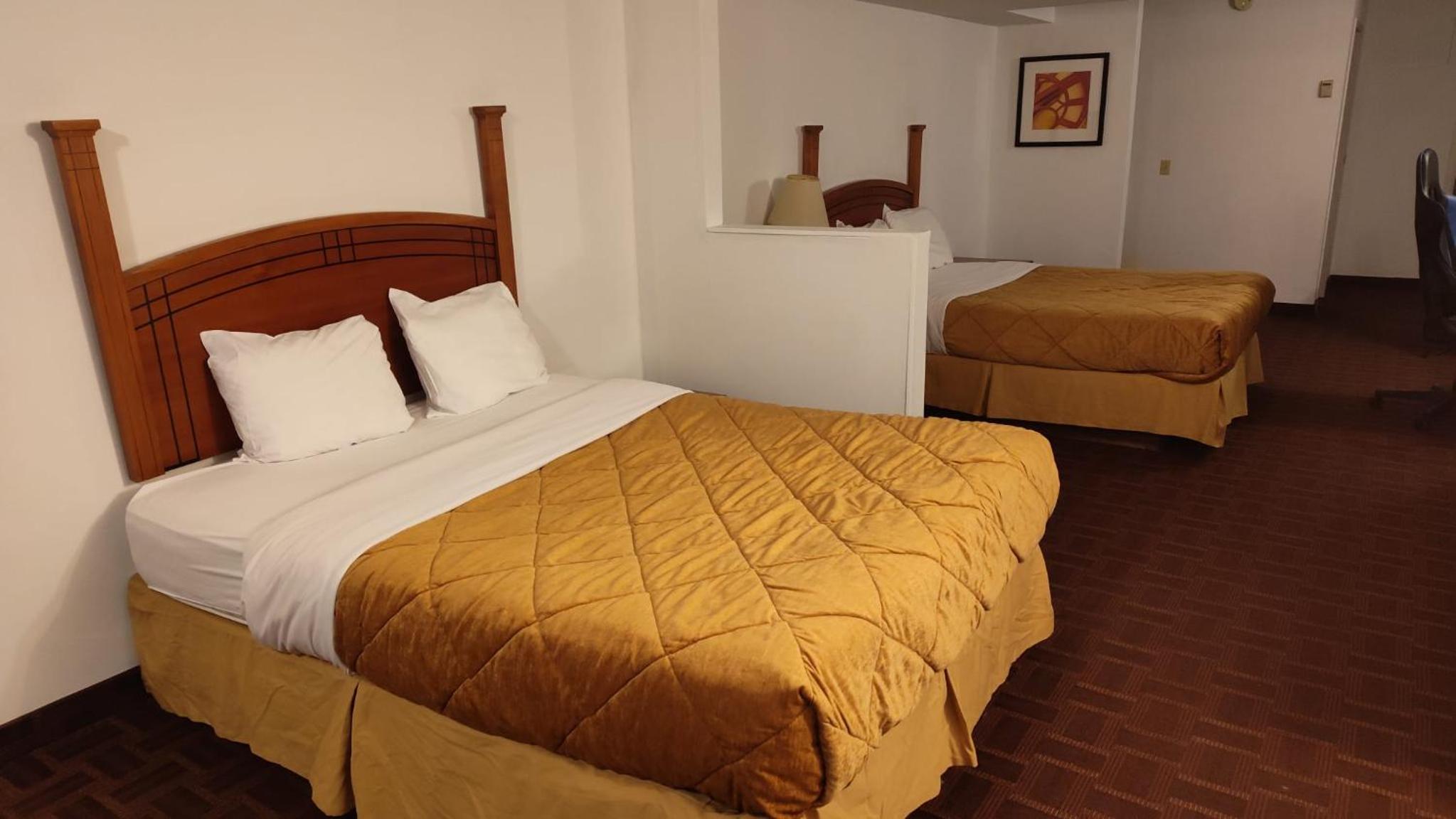 Deluxe Double Room photo 3