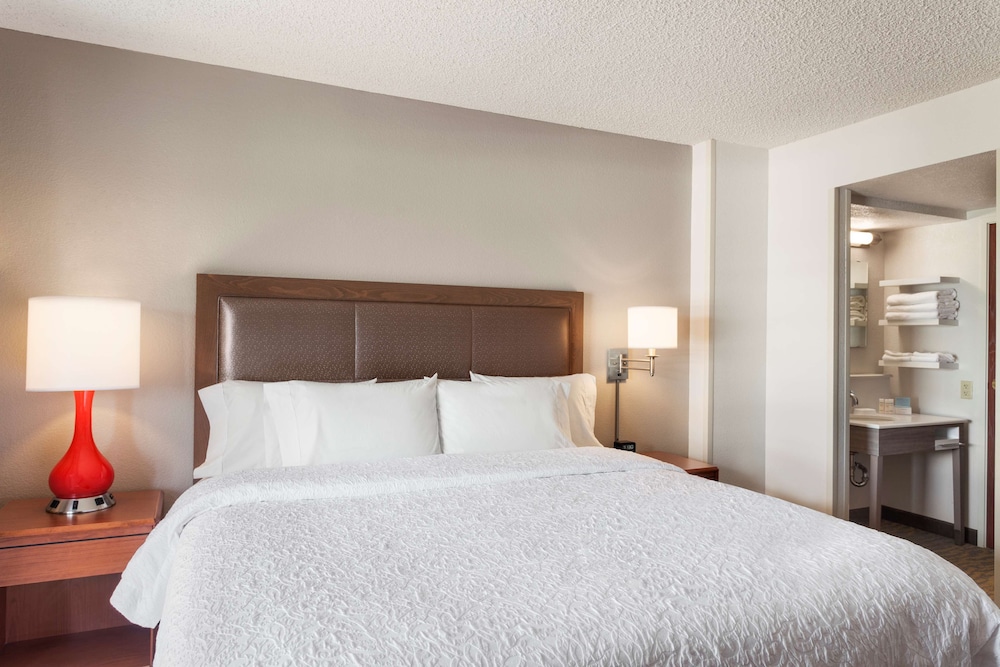 Suite, 1 Bedroom - Photo 3