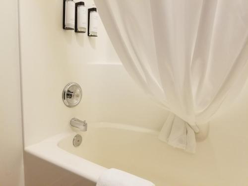 Queen Room - Disability Access - Non-Smoking photo 2