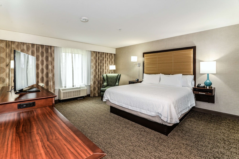 Room, 1 King Bed, Accessible (Roll-in Shower) photo 3