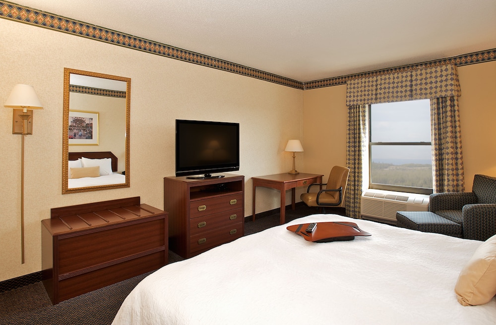 Room, 1 King Bed, Accessible, Non Smoking - Photo 2