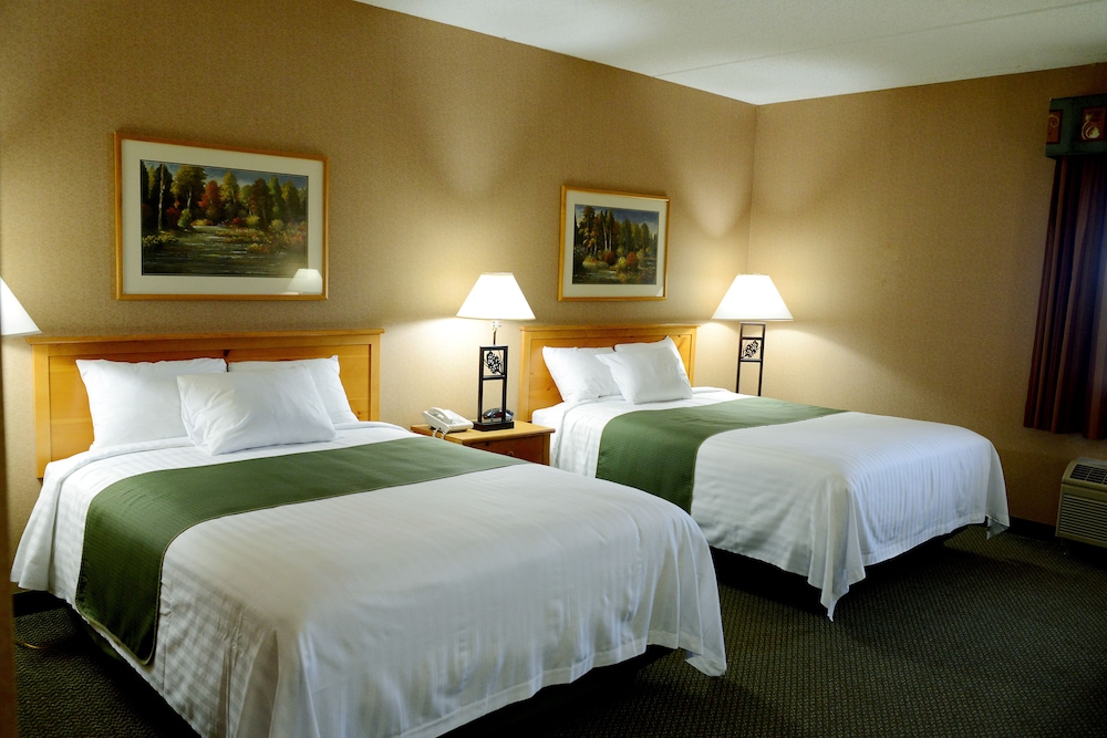 Standard Double Room, 2 Queen Beds photo 1