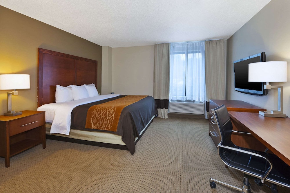 Suite, 1 King Bed with Sofa bed, Non Smoking - Photo 1