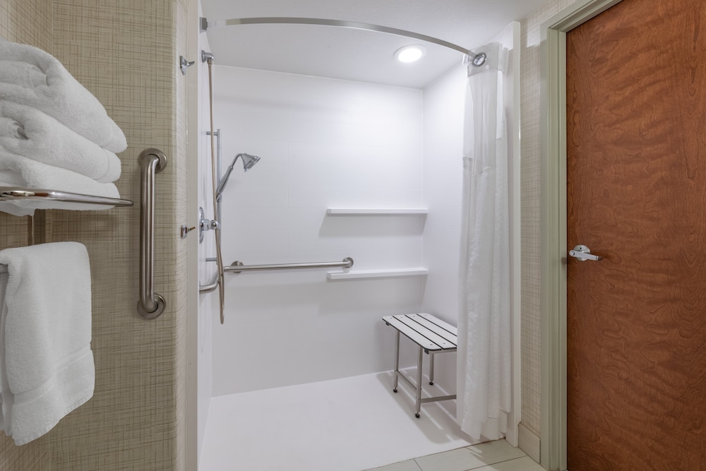 Standard Room, 1 King Bed, Accessible (Mobility Accessible) - Photo 6