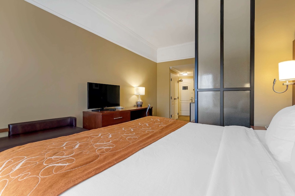 Suite, 1 King Bed with Sofa bed, Non Smoking (Pet Friendly) photo 2
