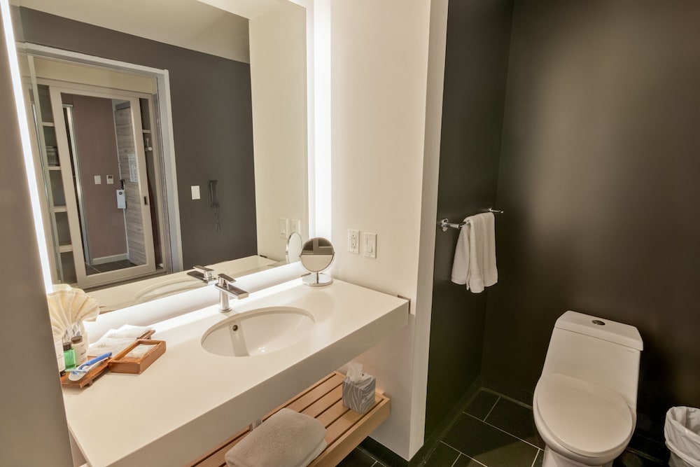 Room, 1 King Bed, Mobility Accessible (High Floor, Roll-In Shower) photo 2