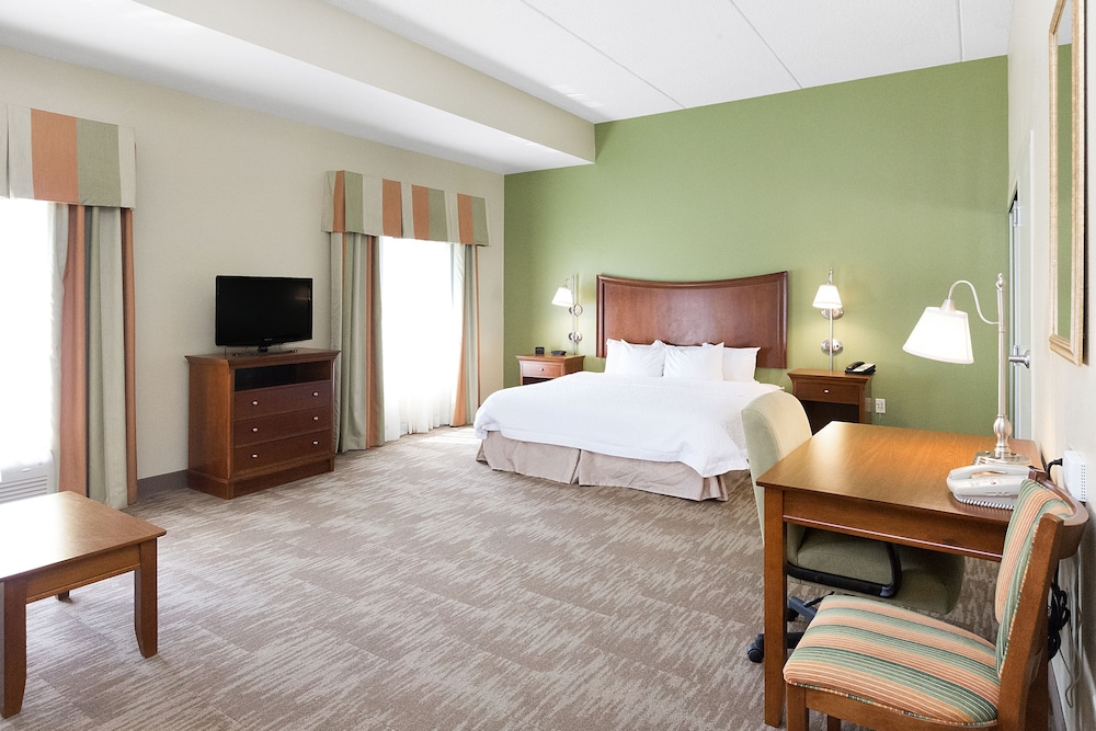 Studio, 1 King Bed, Mountain View
