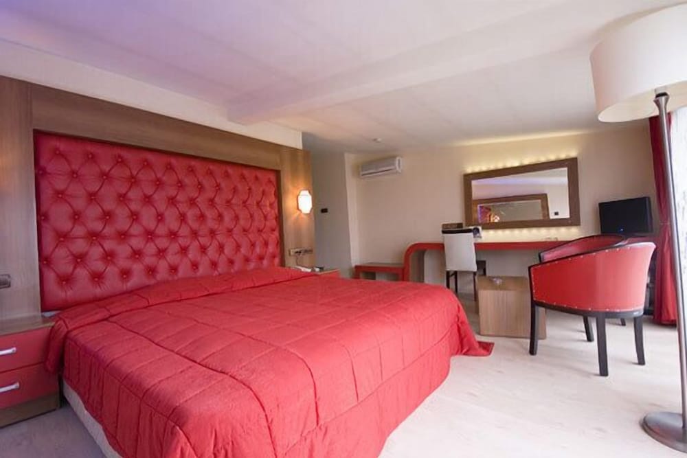 Deluxe Double or Twin Room photo 2
