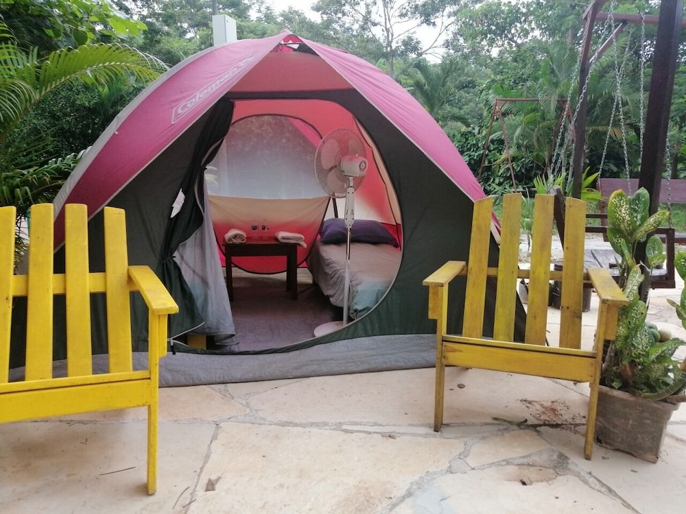 Basic Tent photo 2
