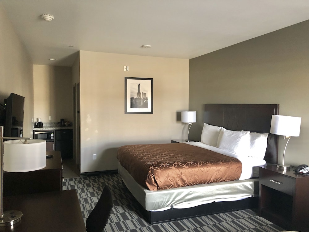 Deluxe Room, 1 King Bed photo 3