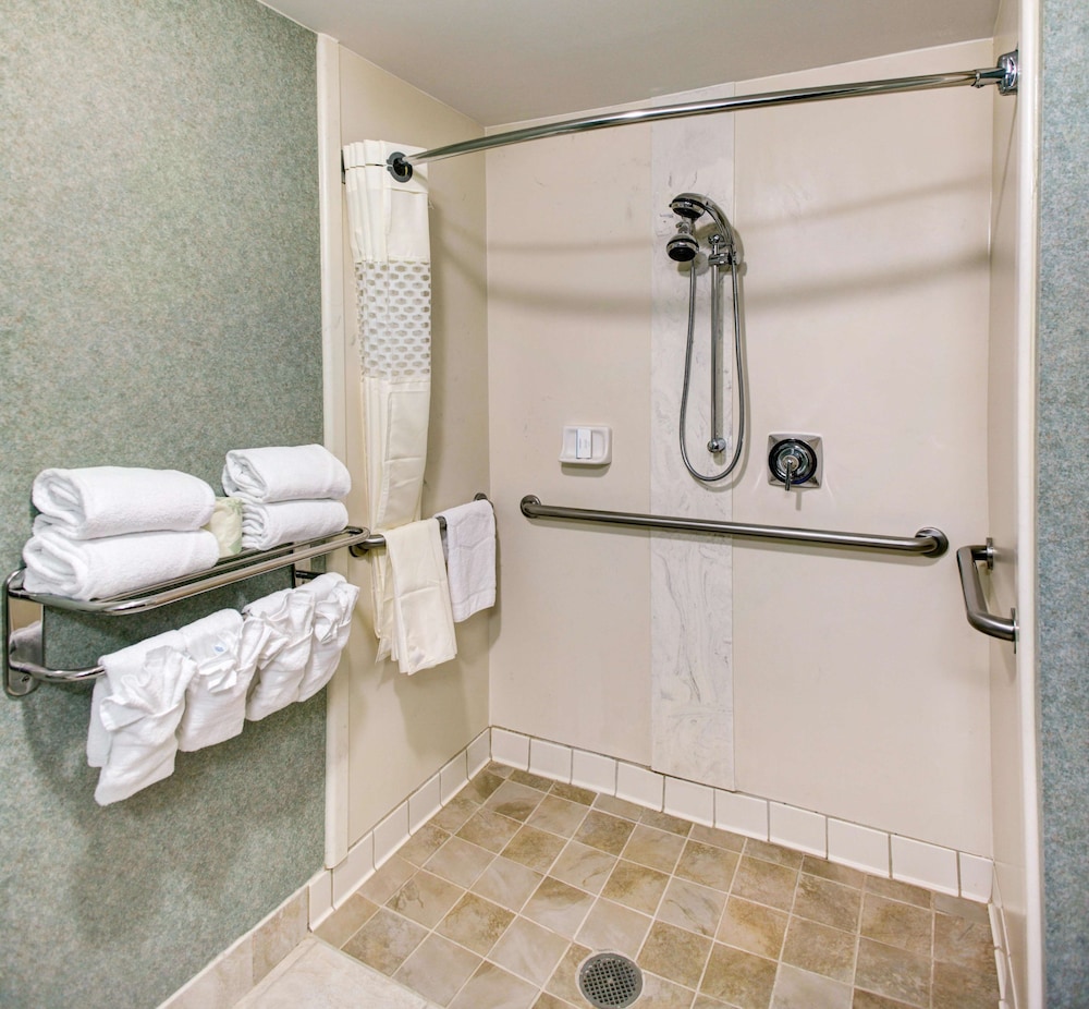 Suite, Accessible, Non Smoking - Photo 7