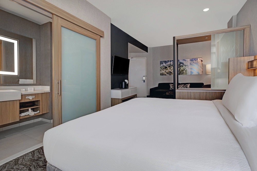 SpringHill Suites by Marriott Franklin Cool Springs, Photo 4