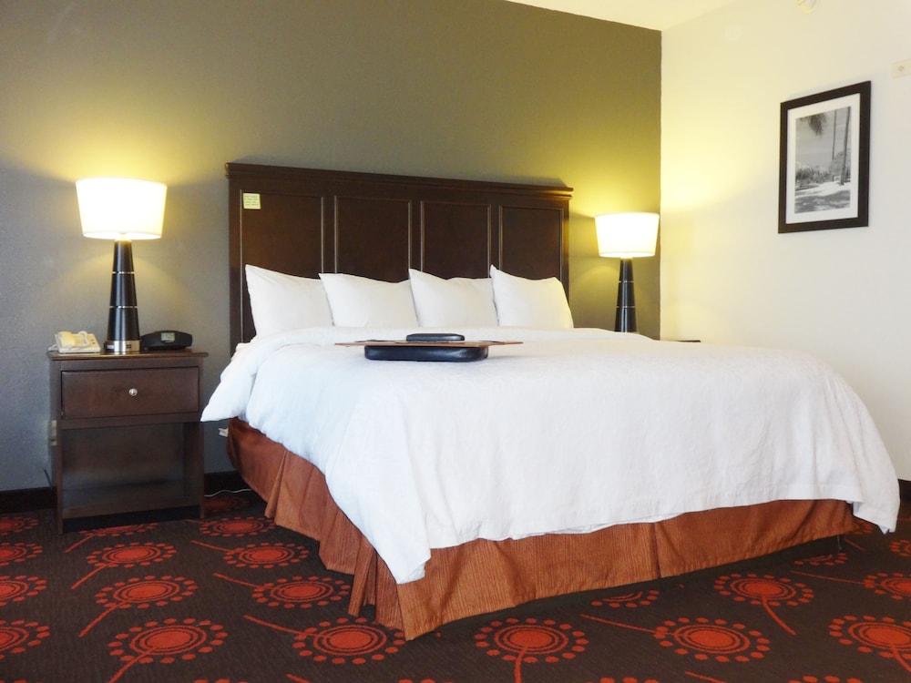 Suite, 1 King Bed, Accessible, Non Smoking - Photo 3