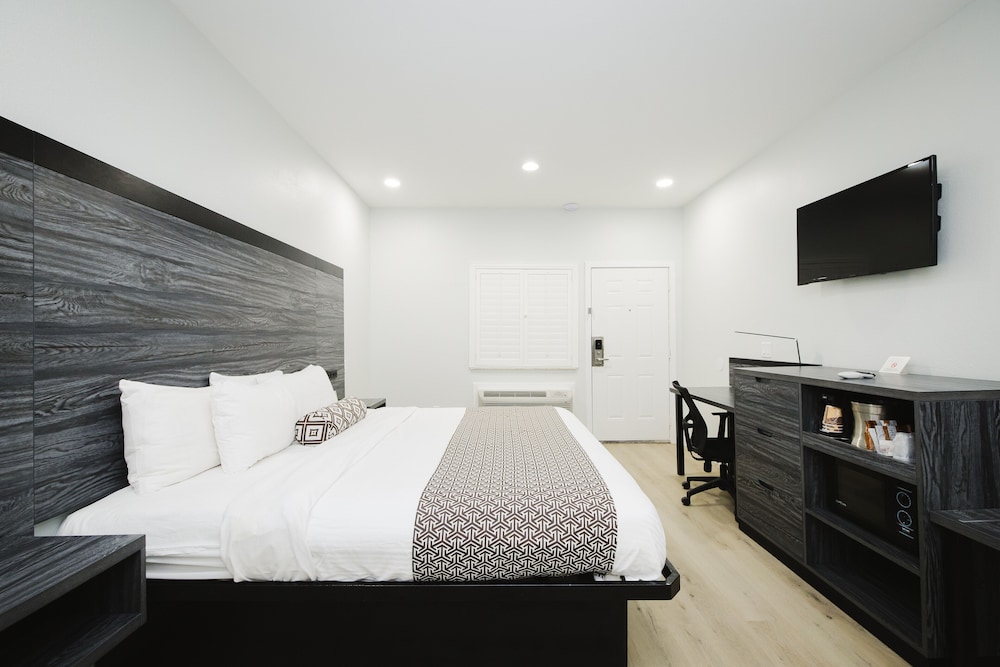 Standard Single Room, 1 King Bed, Non Smoking photo 2