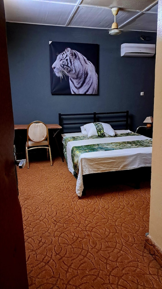 Elite Single Room photo 3