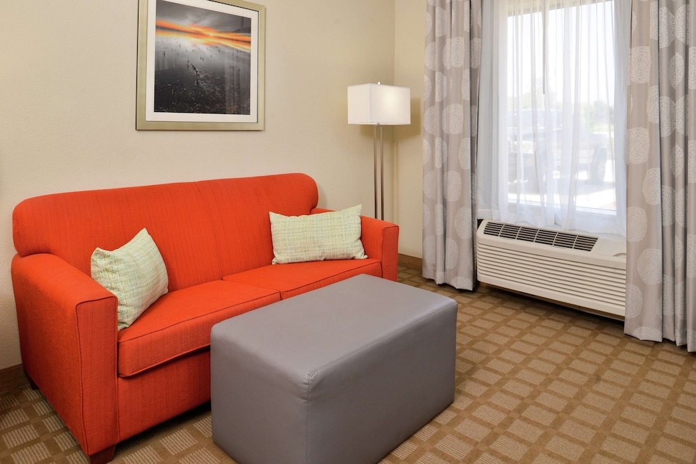 Studio, 1 King Bed with Sofa bed, Accessible (Roll In Shower)