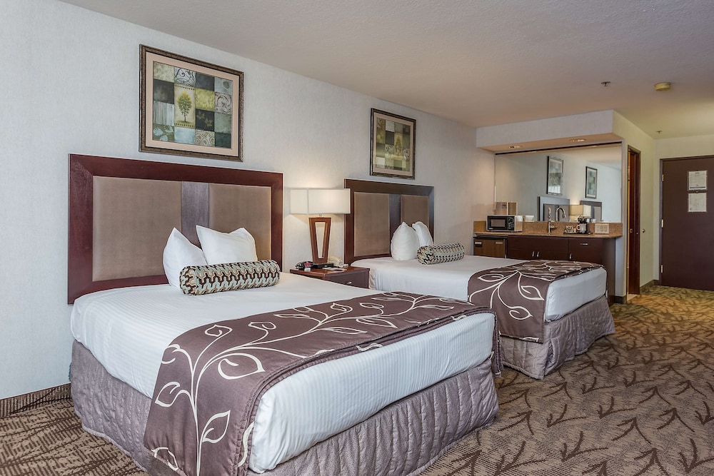 Deluxe Room (ADA) photo 3