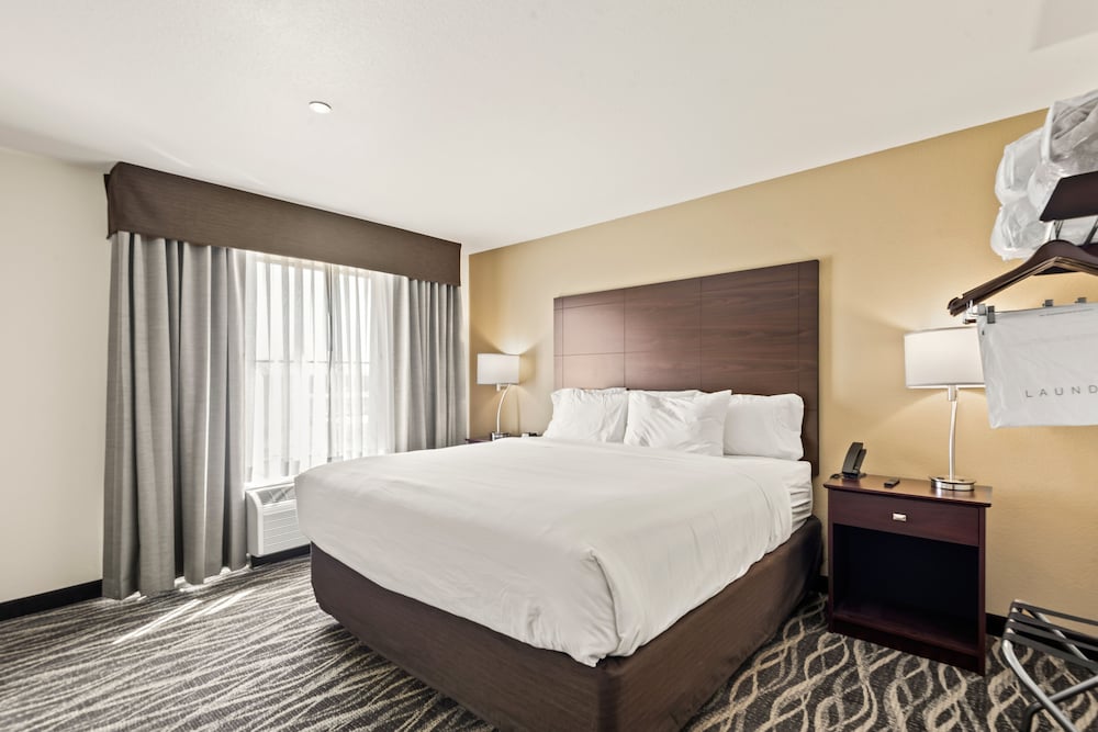 Suite, Non Smoking (Single King Extended Stay) - Photo 4