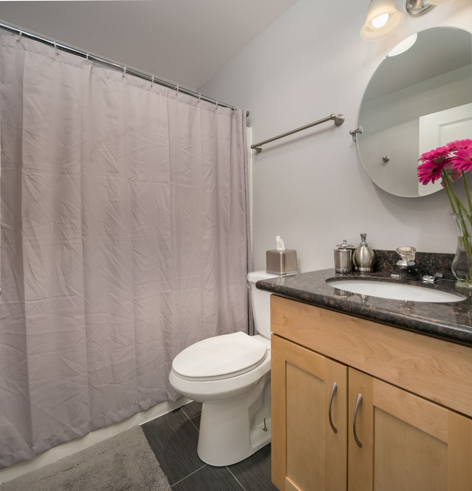 Deluxe Condo, 1 Bedroom, Kitchen photo 3