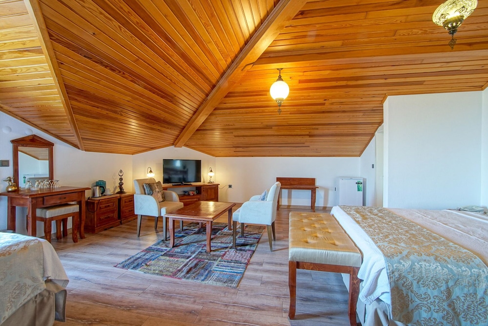 Panoramic Room, City View, Roof Floor photo 1
