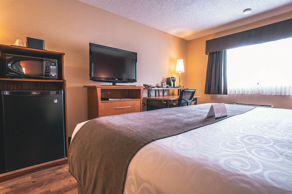 Standard Room, 1 Queen Bed, Non Smoking (Not pet friendly) - Photo 5