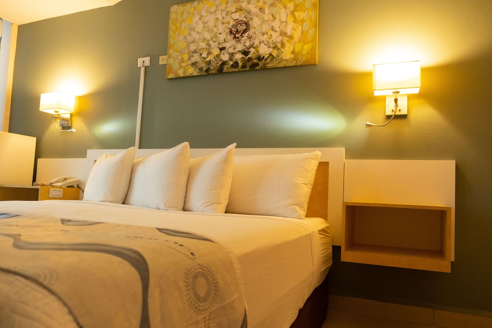 Deluxe Room, Private Bathroom, City View