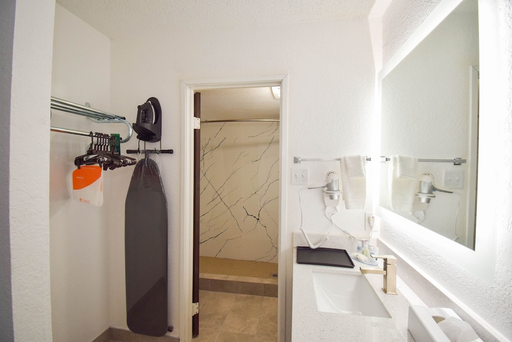 Basic Suite, 1 King Bed, Non Smoking photo 3