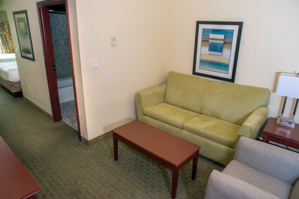 Suite, 1 King Bed - Photo 5