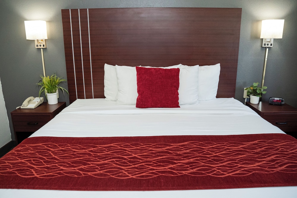 Comfort Single Room, 1 King Bed, Accessible, Non Smoking (42 inch TV) - Photo 3