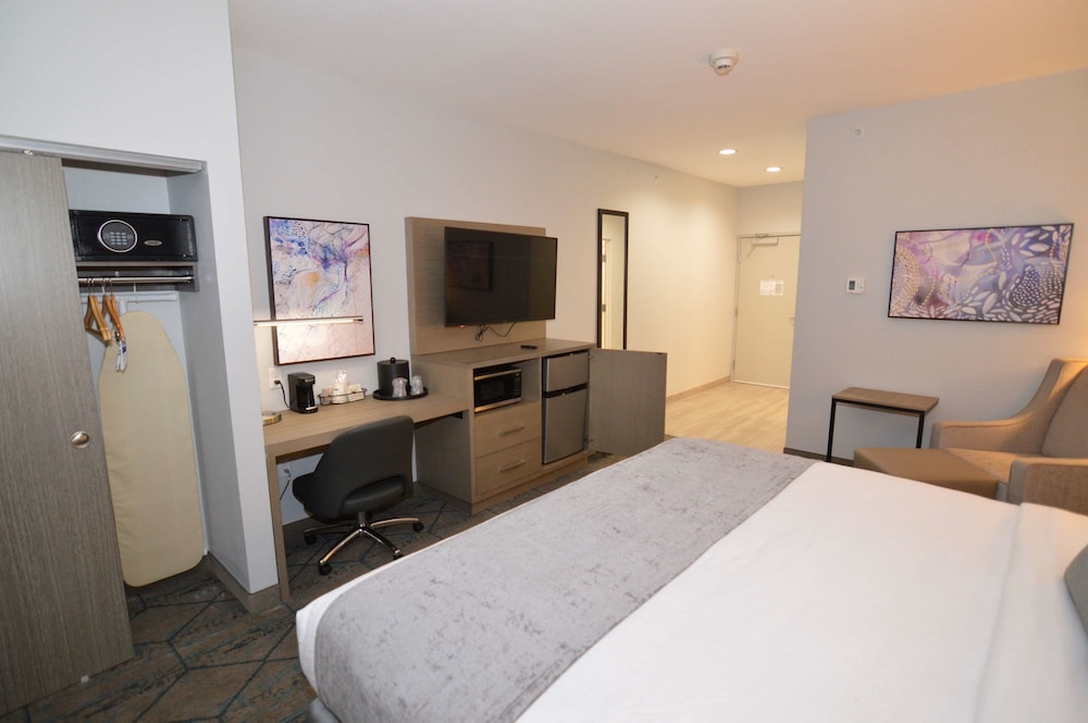 Standard Room, 1 King Bed, Accessible, Kitchenette (Walk-in Shower) - Photo 2