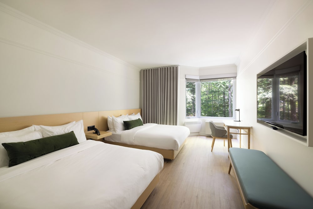 Standard Room, 2 Queen Beds, Mountain View photo 1