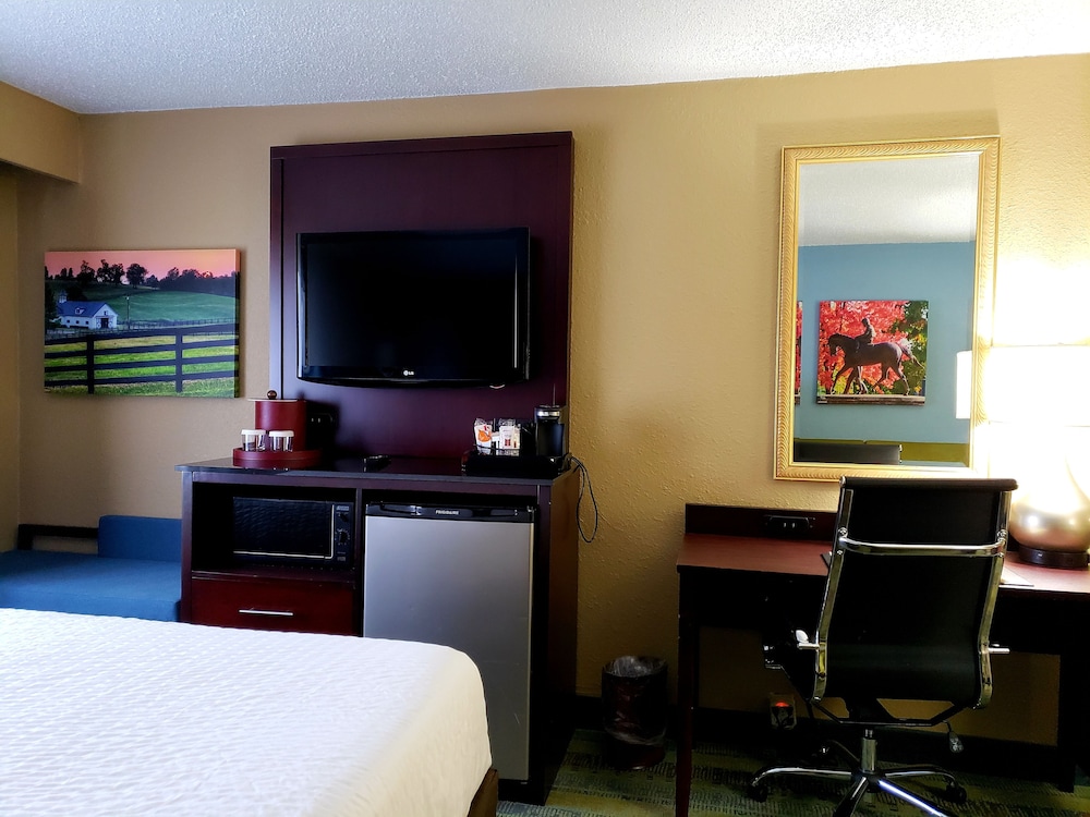 Standard Room, 1 King Bed with Sofa bed, Non Smoking - Photo 2
