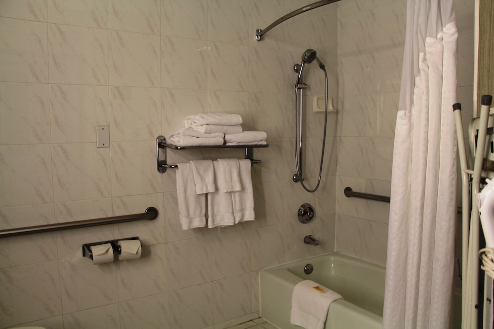 Room, 1 King Bed with Sofa bed, Accessible - Photo 8