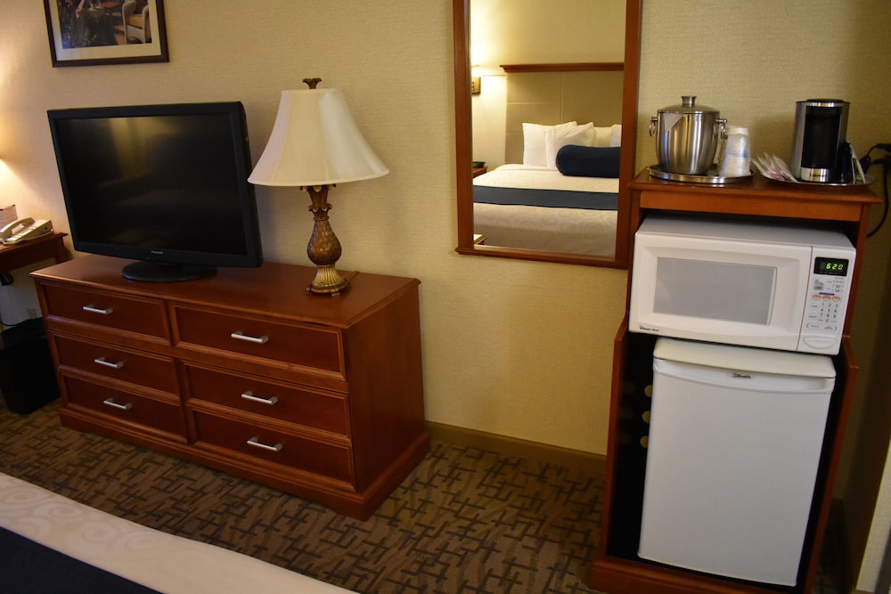 Room (Handicap Full Size Bed) - Photo 2