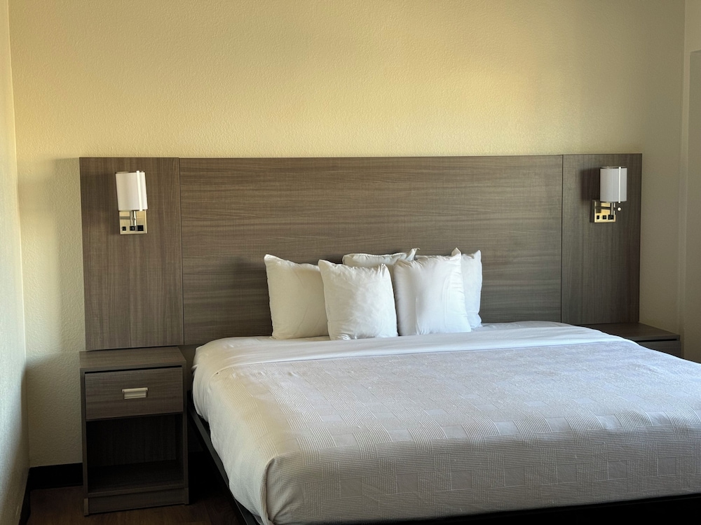 Basic Single Room (Assessable) - Photo 1