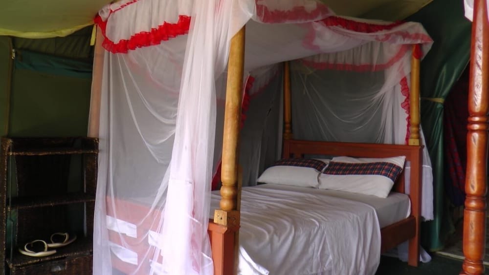 Deluxe Room, 2 Twin Beds, Garden View photo 3
