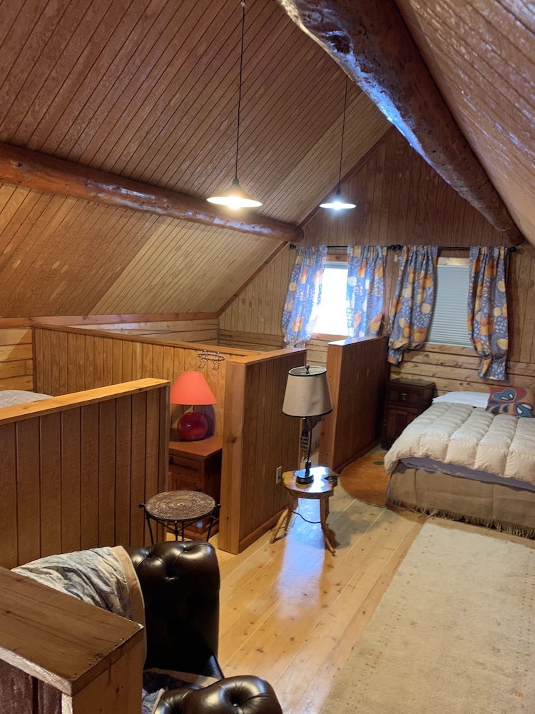 Private view Cabin #1 on the Kenai River photo 1