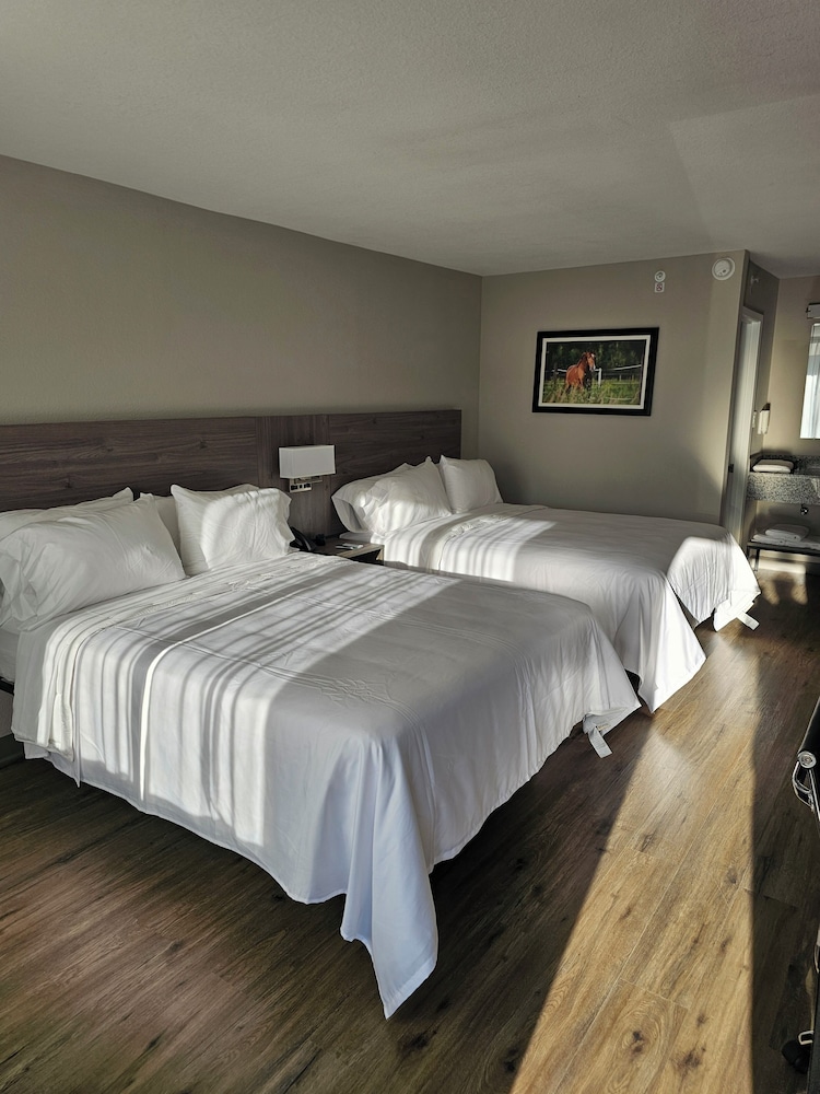 Standard Room, 2 Queen Beds, Non Smoking photo 1