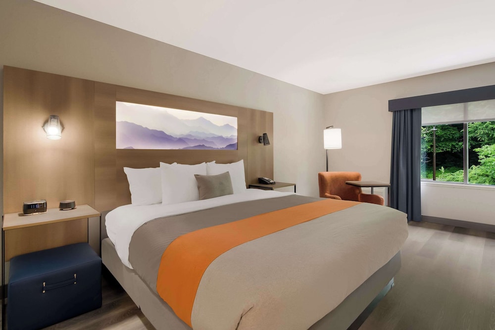 1 King Bed, Non Smoking - Photo 4