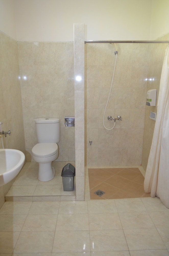 Deluxe Double or Twin Room photo 2