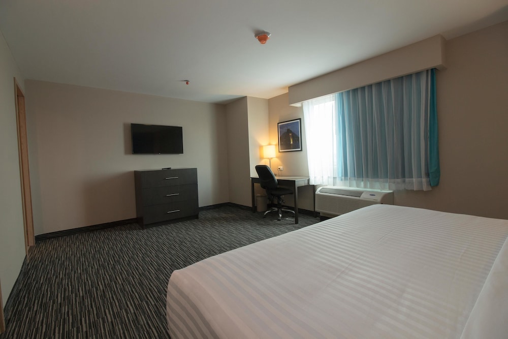 Suite, 1 King Bed, Non Smoking