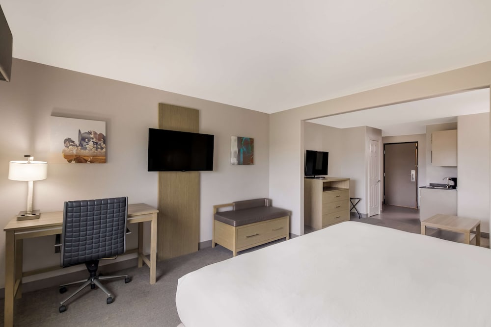 Suite, 1 King Bed with Sofa bed, Non Smoking, Refrigerator & Microwave (with Sofabed) - Photo 1
