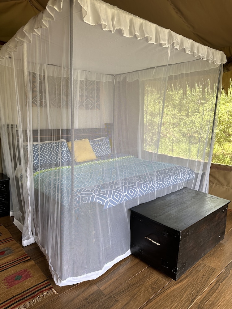 Executive Suite photo 2