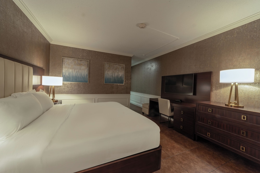 Room, 1 King Bed (Pet)