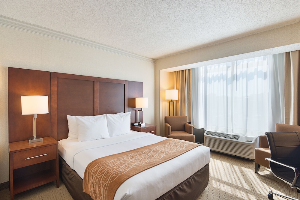 Comfort Inn By the Bay, Photo 5