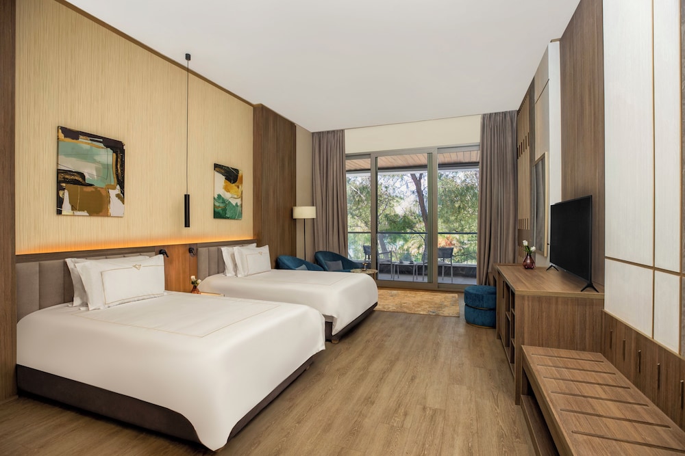 Deluxe Room Park View Twin Bed