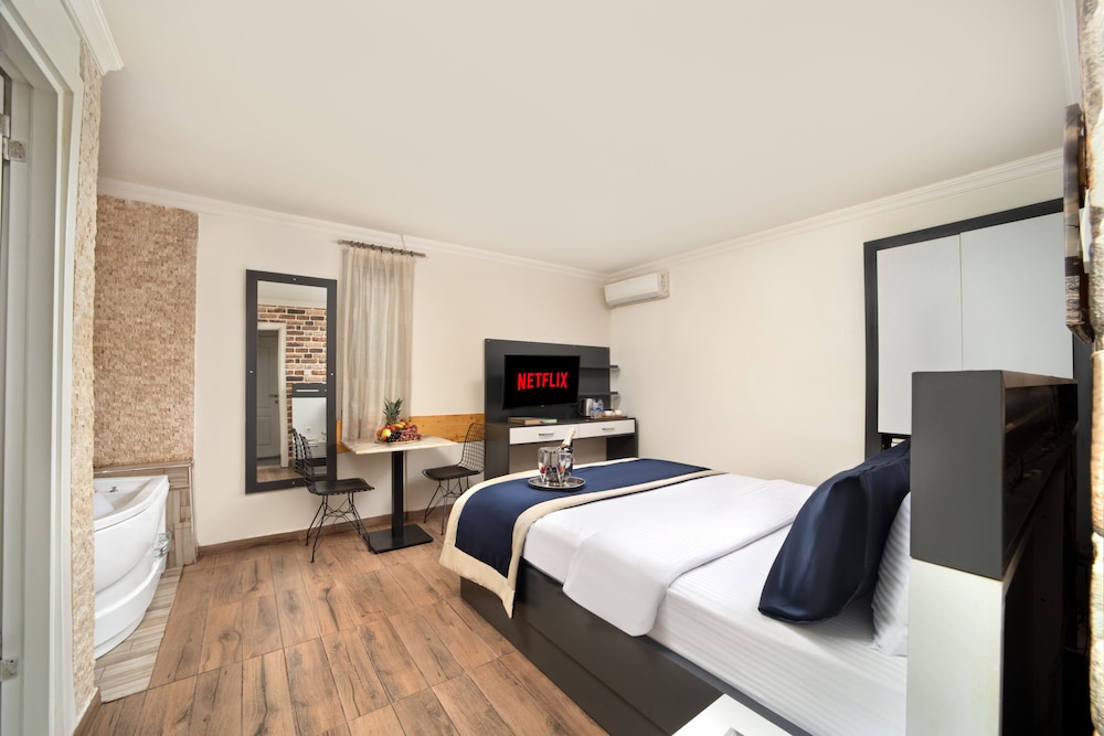 Deluxe Studio Suite photo 3