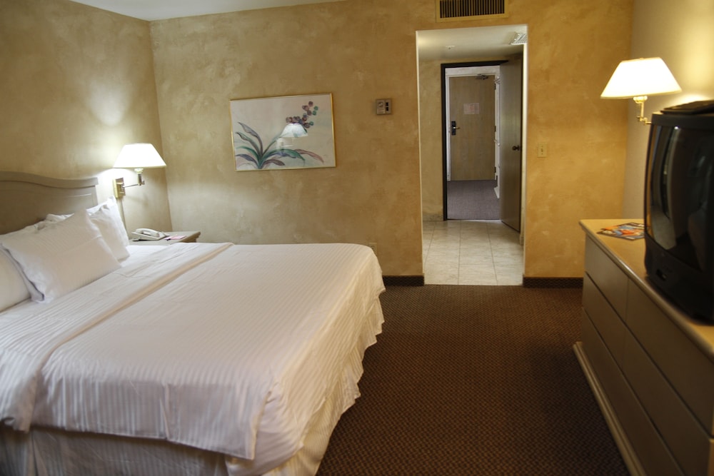 Suite, 1 King Bed, Non Smoking - Photo 2