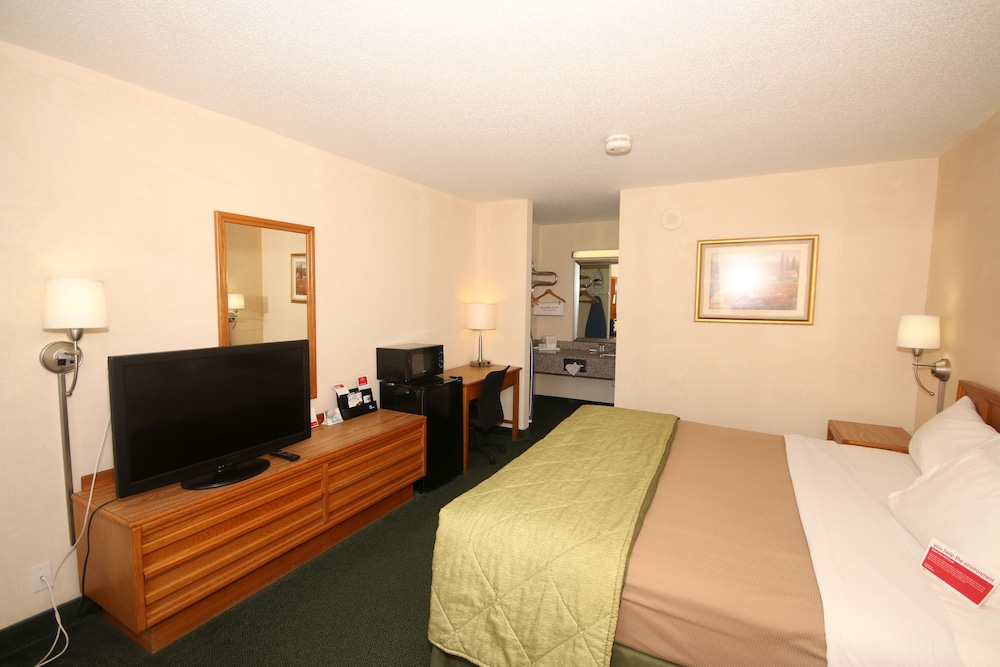 Standard Room, 1 King Bed, Smoking - Photo 6