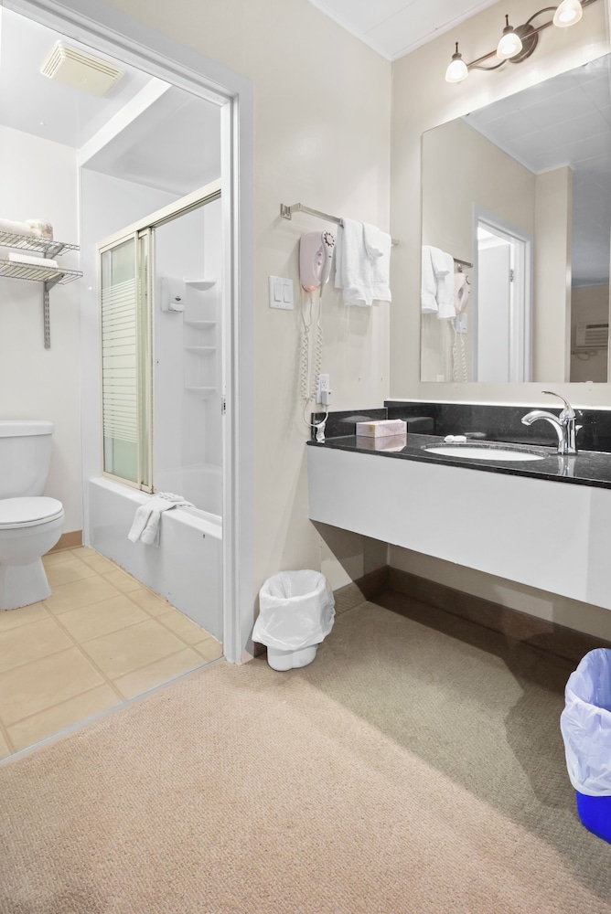 Business Suite, 1 King Bed with Sofa bed (Not pet friendly) photo 2